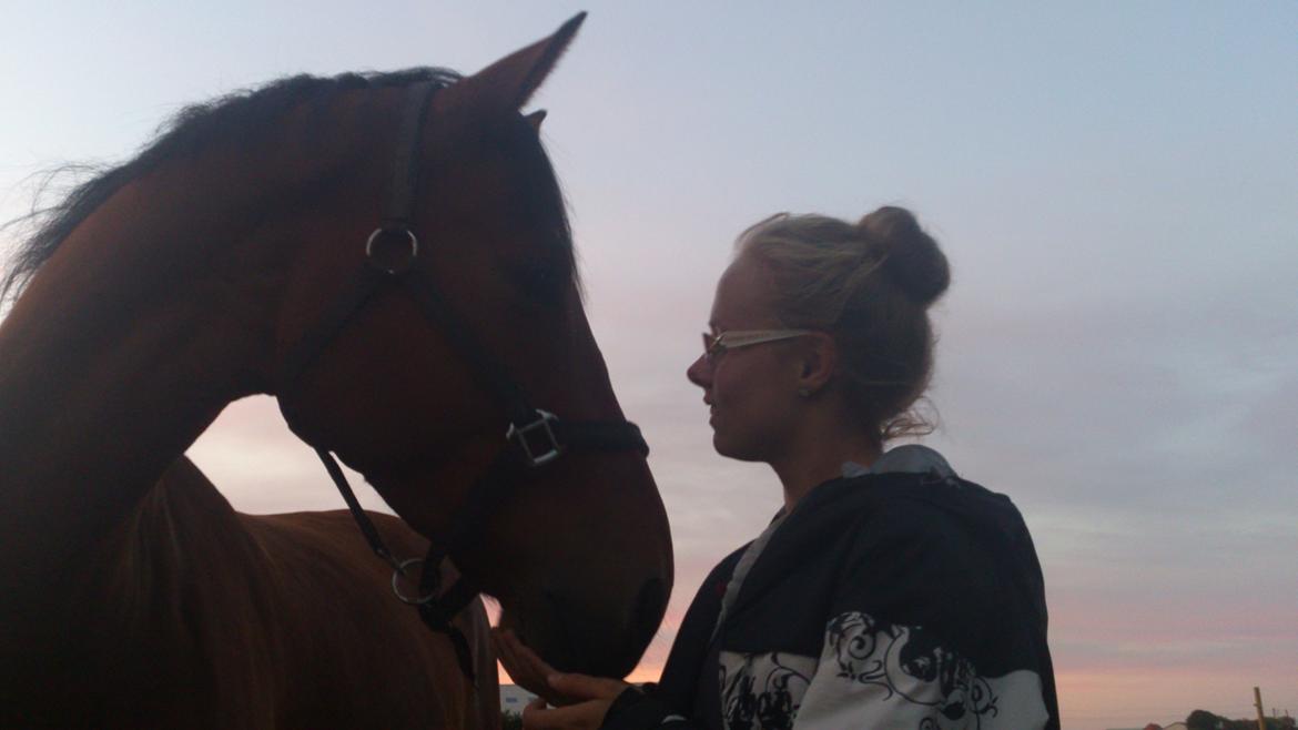 Dansk Varmblod Saksgaards Light Foot #Klubmester# - Du den bedste! billede 4