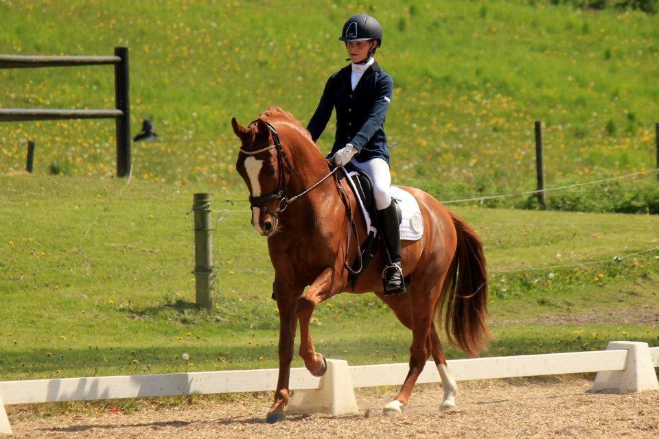 Tysk Sportspony Golden flame R.I.P - Jimmy pri dressur festival <3 billede 1