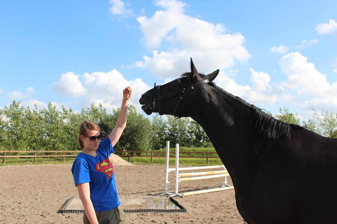 Oldenborg Sorél af Dano billede 13