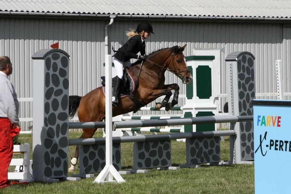 Anden særlig race Simba  billede 5