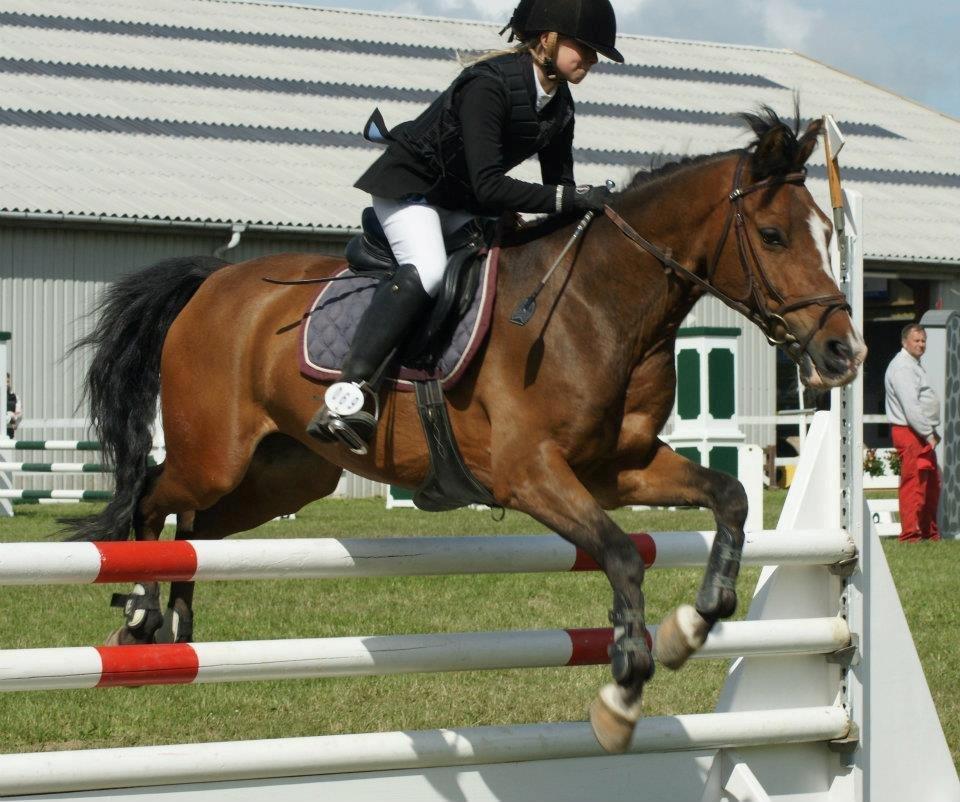 Anden særlig race Simba  billede 7