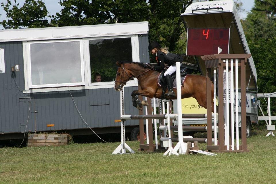 Anden særlig race Simba  billede 13