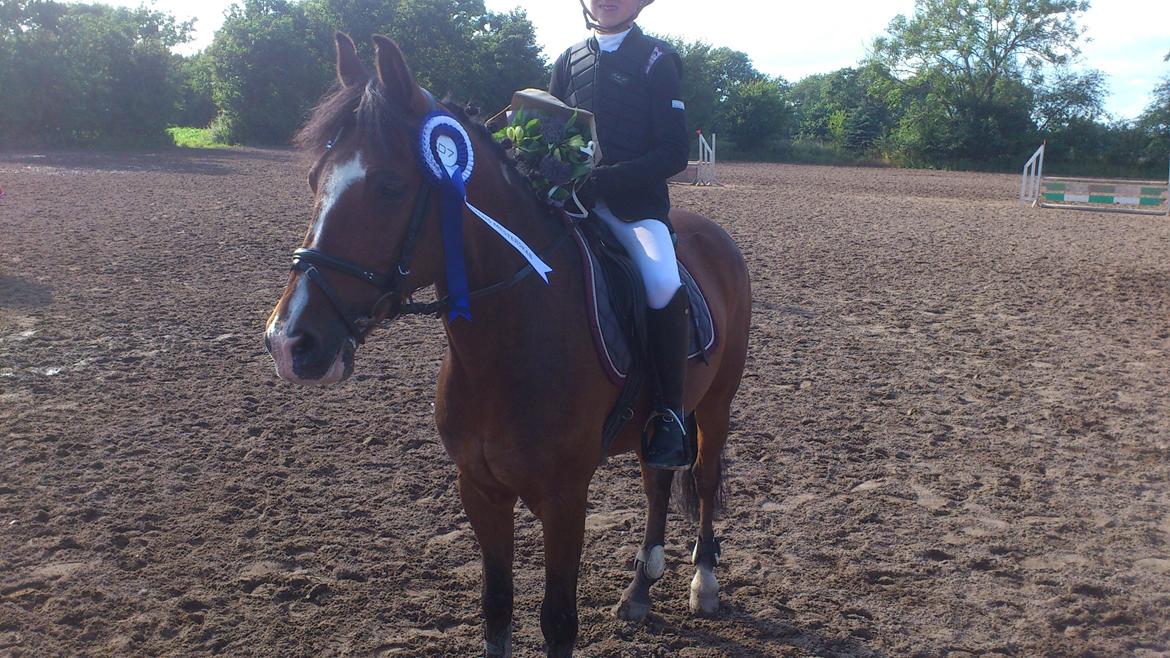 Anden særlig race Simba  billede 14