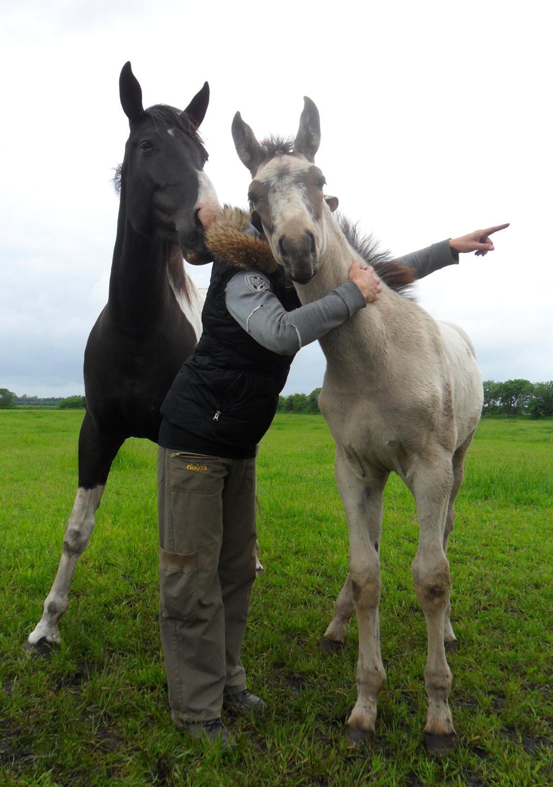 Anden særlig race Klitgaards Maximilian*R.I.P* billede 30