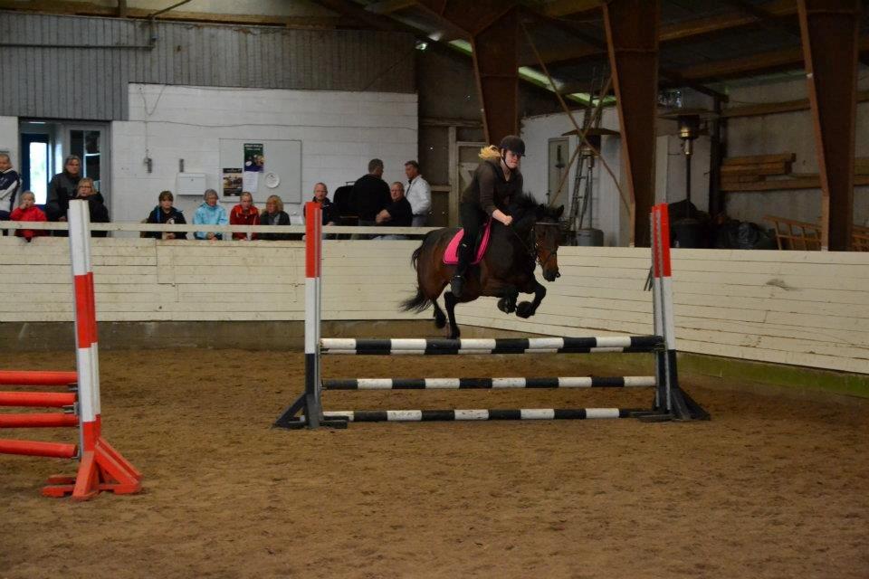 Anden særlig race Molly *Mit liv<3* - "Hvad er kærlighed?? De, der ikke kan lide det kalder det ansvar. Dem, der spiller med det, kalder det et spil.De, der ikke har det, kalder det en drøm. De, der forstår det, kalder det skæbne. Og mig, jeg kalder det DIG!!♥♥  billede 16