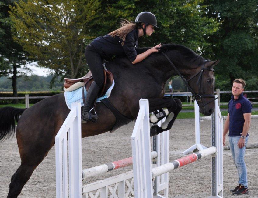 Hollandsk Varmblod Cavour - Jubii, lidt spring, er jeg altså bare sej til!!  billede 8