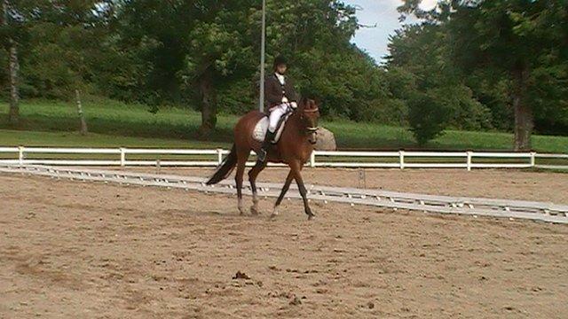 Dansk Varmblod Anica Møllebjerg - Vosk dressur stævne LB1 2011 billede 3