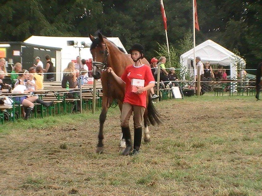 Dansk Varmblod Anica Møllebjerg - Børn & Dyr på Bregentved 2011 præmieoverrakelse billede 6