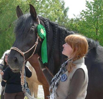 Pura Raza Española Divino XXXVIII billede 15