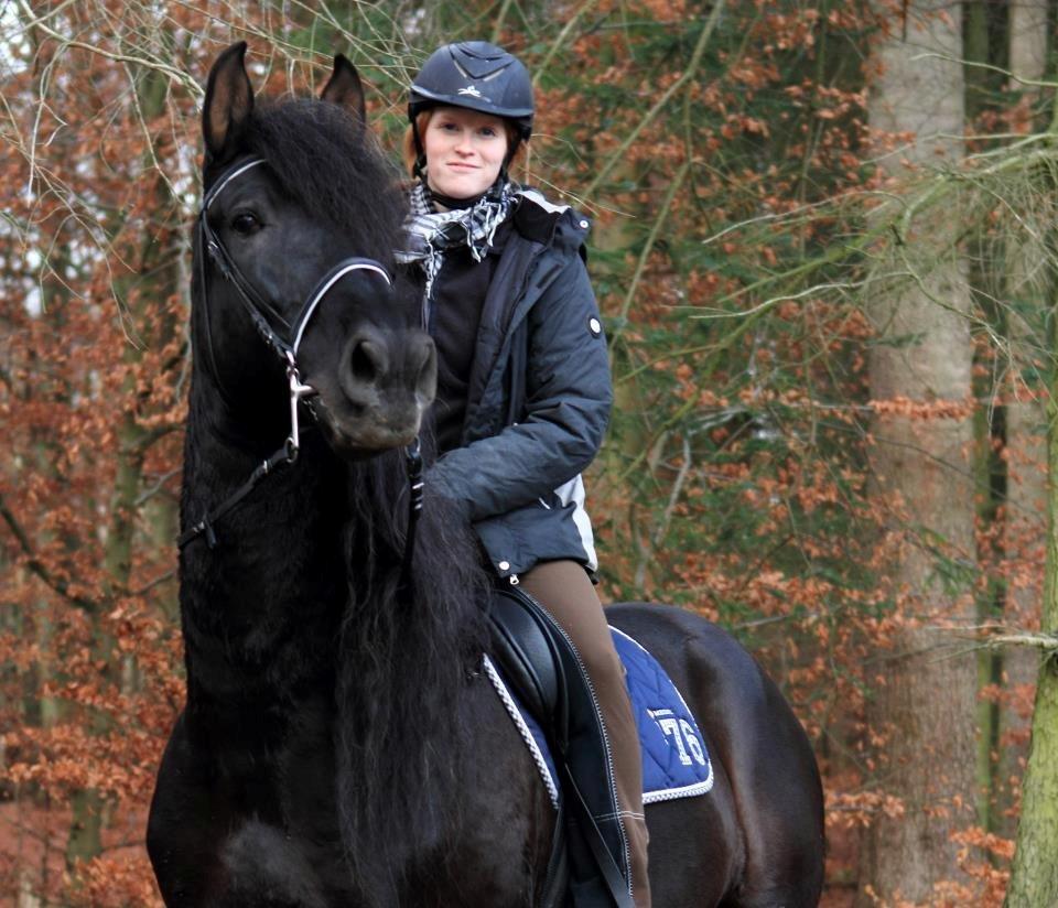 Pura Raza Española Divino XXXVIII billede 13