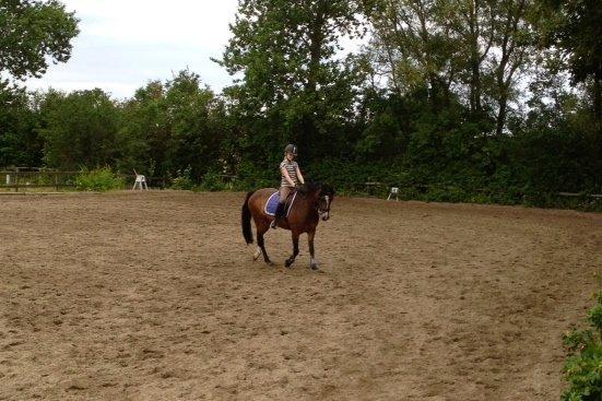 Welsh Cob (sec D) Søegaardens Miss Gipsy - Velkommen til Gipsy´s profil:-) Foto: Mor billede 1
