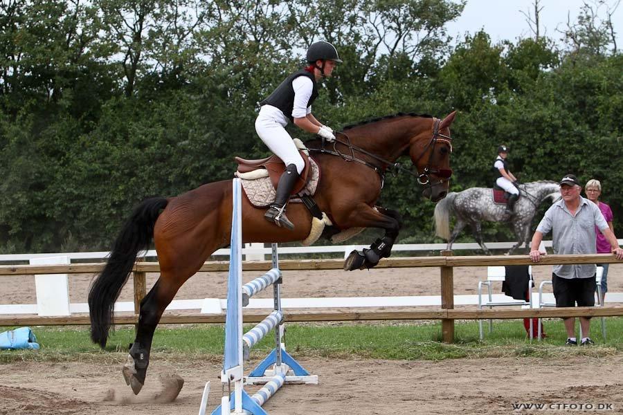 Anden særlig race Jari - Nordvestsjællands rideklub d. 4/8-2012. 
Klasse: LC&LB billede 8