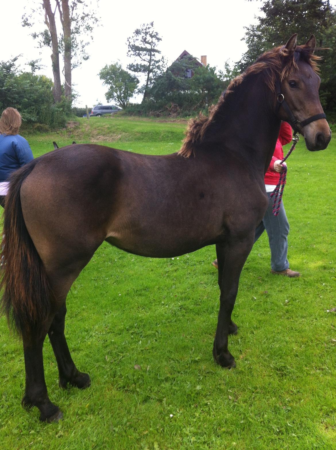 Anden særlig race Egebæks Bailey <3 billede 14