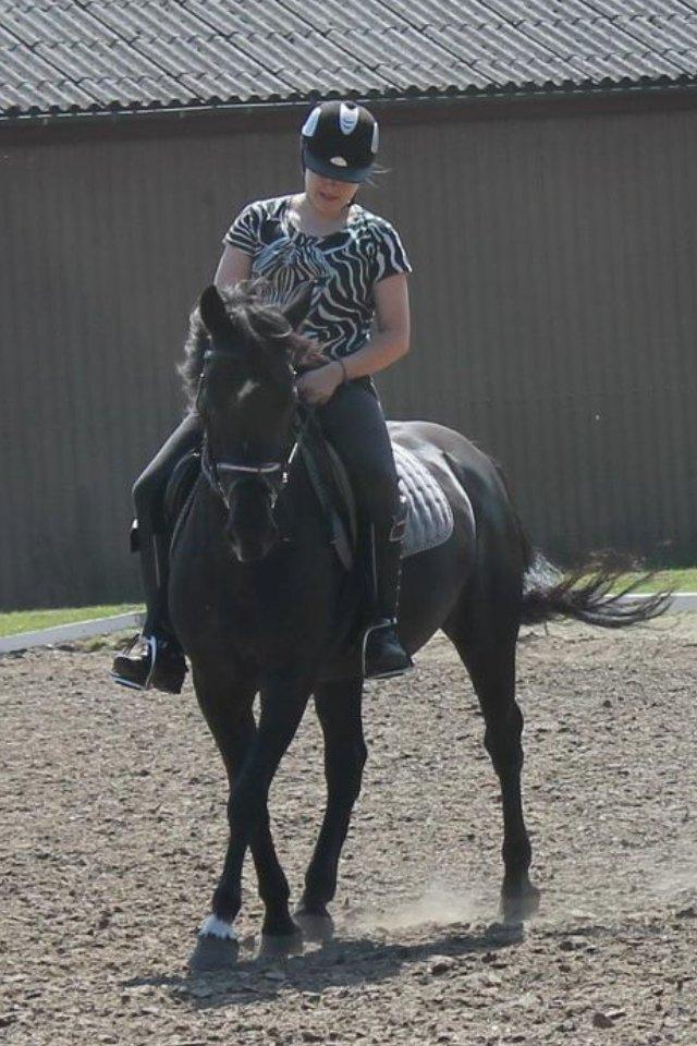 Anden særlig race Jeko Mini--Elsker dig!! billede 19