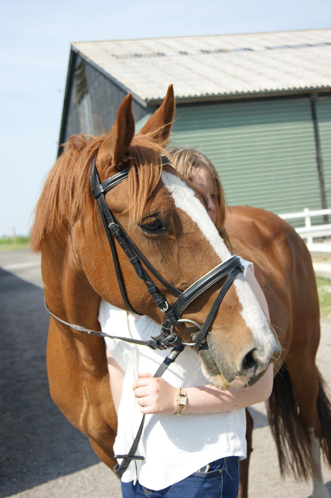Frederiksborg Lalia billede 12
