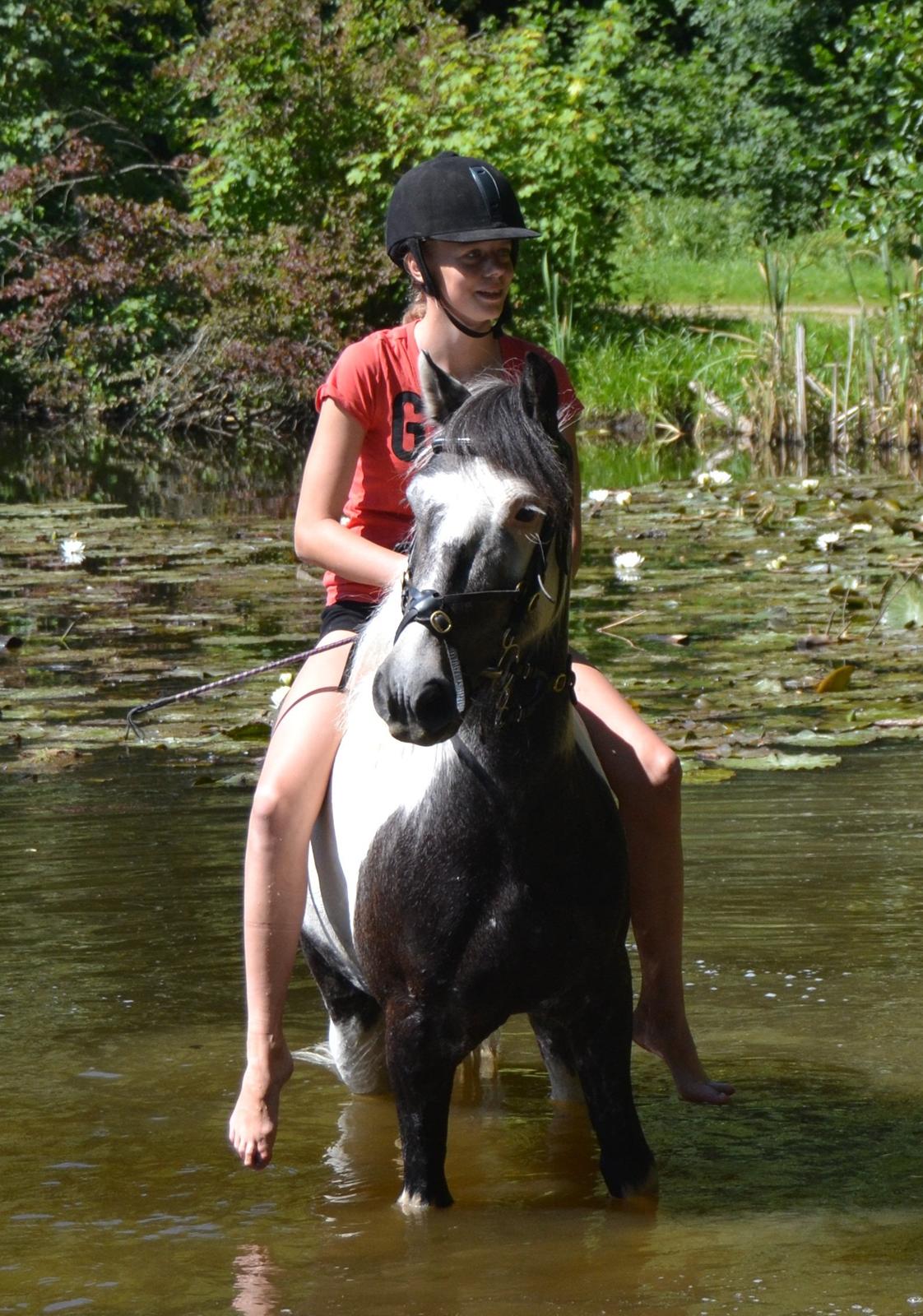 Pinto Zafir - Foto: Andrea Sørensen's mor :D

Du er sådan en søød dreng! <3 billede 4