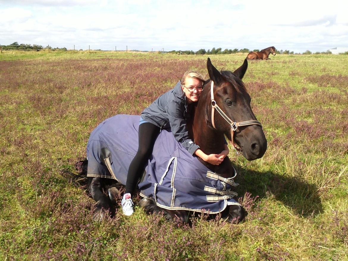 Frieser Jeltsje fra Sonderladegaard(Passer) billede 11
