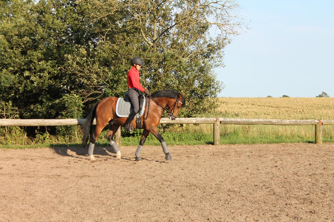 DSP Lucky Lux billede 2