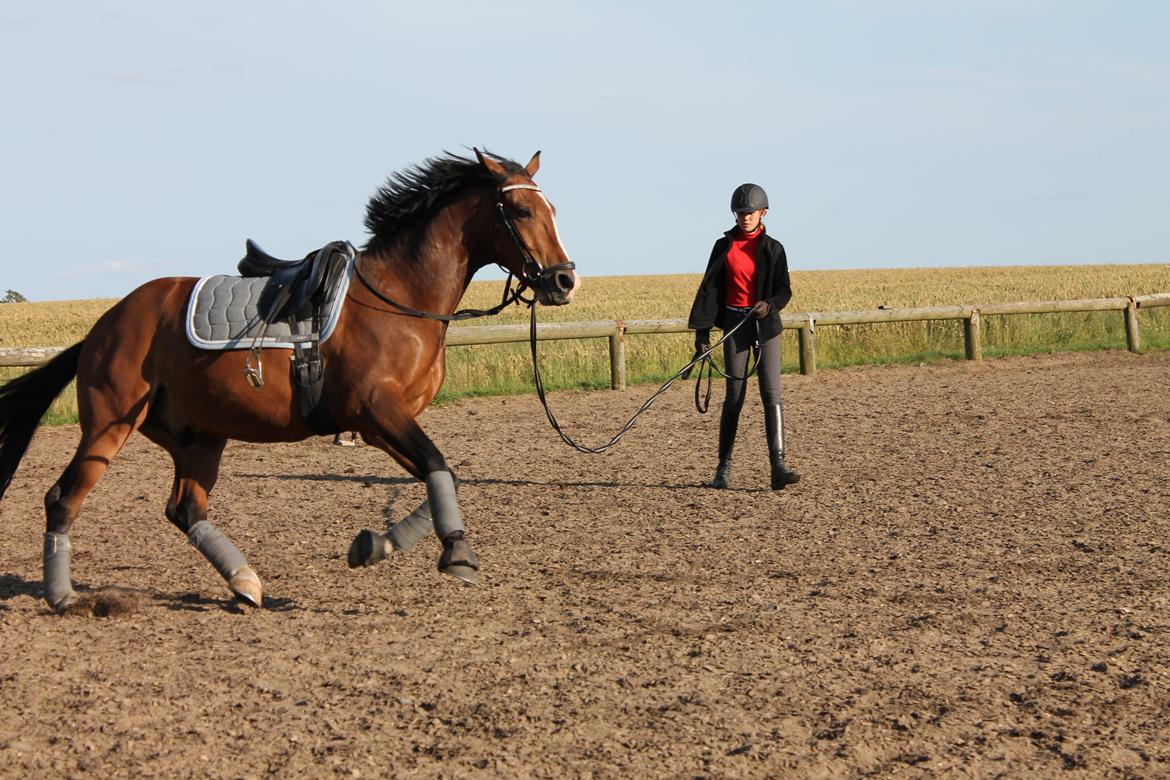 DSP Lucky Lux billede 5