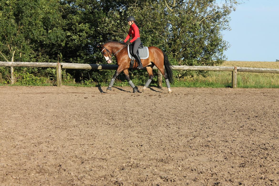 DSP Lucky Lux billede 6