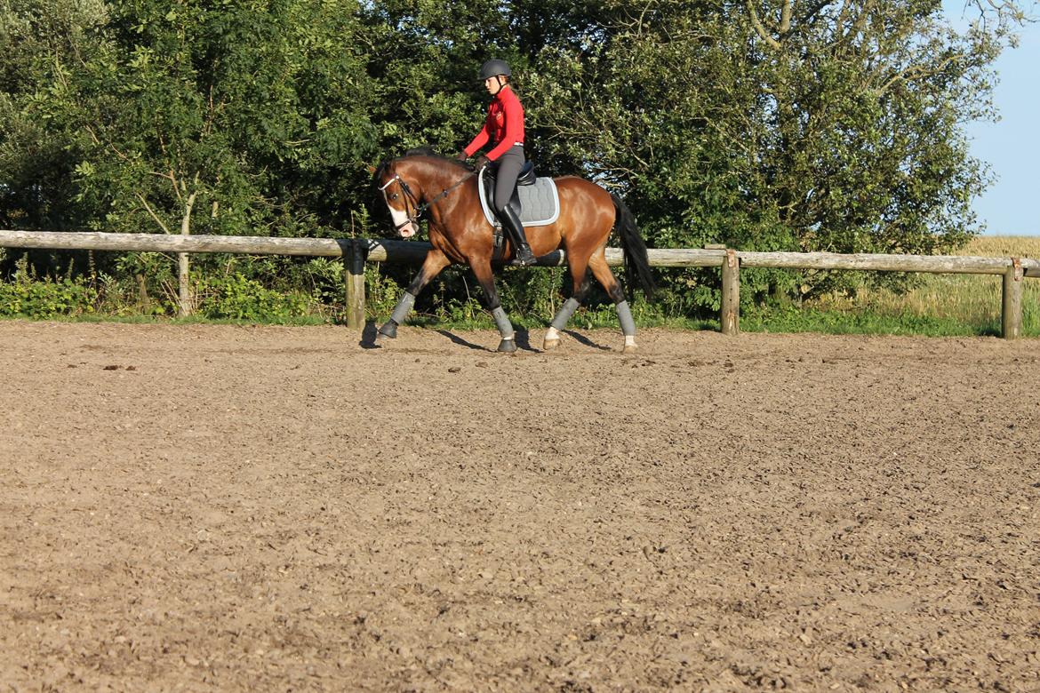 DSP Lucky Lux billede 7