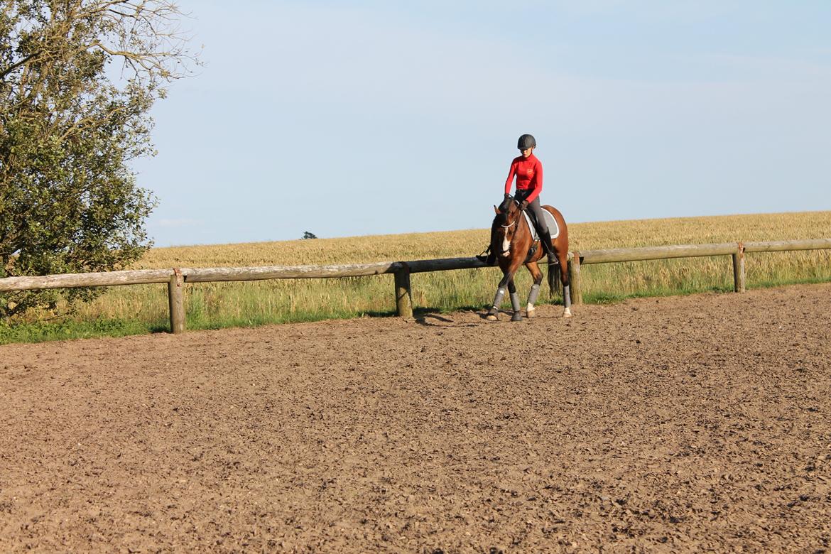 DSP Lucky Lux billede 11