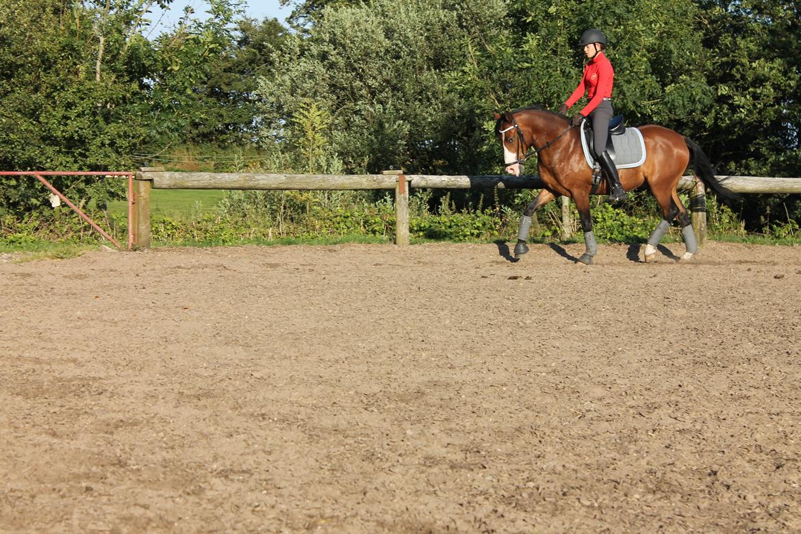 DSP Lucky Lux billede 12