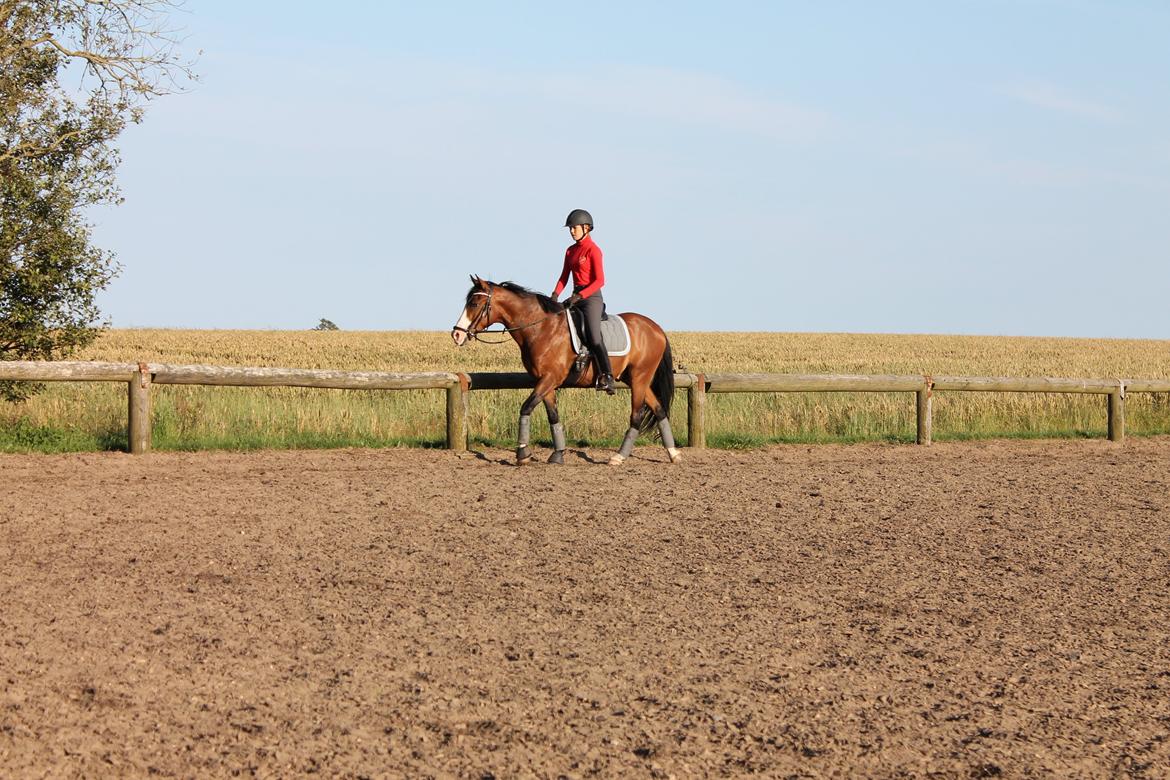 DSP Lucky Lux billede 13