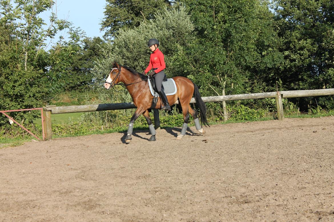 DSP Lucky Lux billede 14