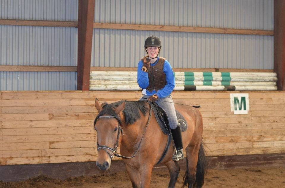 Dansk Varmblod Railo - ”Gør det i dag for i morgen er det måske for sent” billede 9