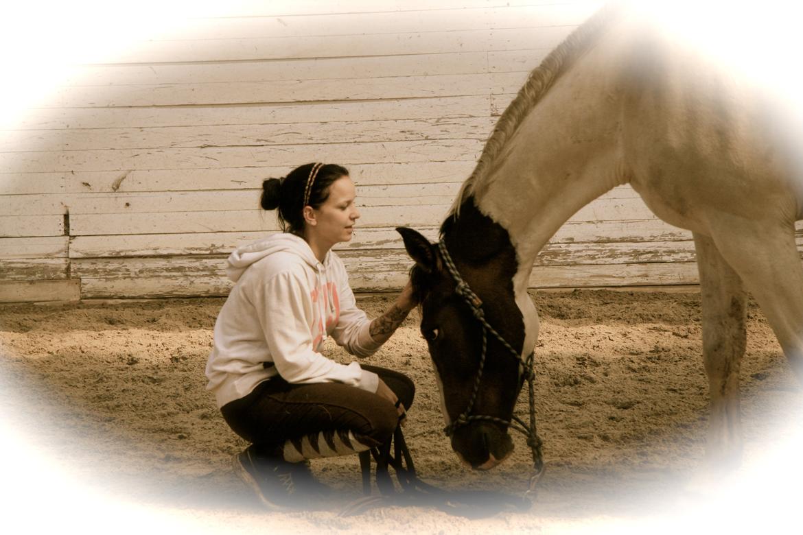 Pinto Mr. Hilton Aquador The lll - min kærlighed til dig kan ikke beskrives <3 billede 14