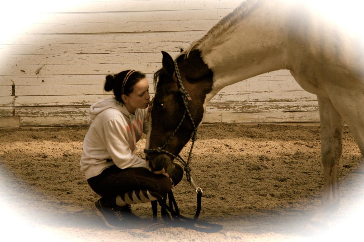 Pinto Mr. Hilton Aquador The lll billede 15