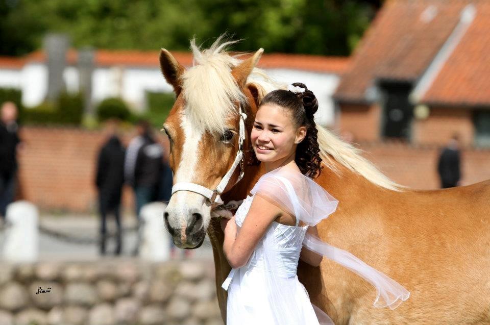 Haflinger Hermeline billede 14