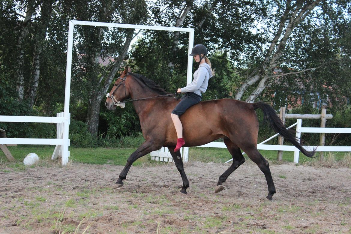 Traver Jazz Pax (Jezze) <3<3 billede 8