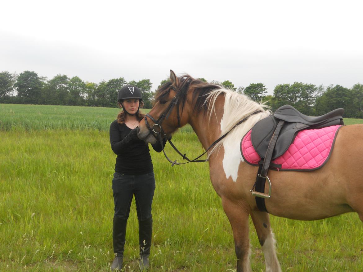 Anden særlig race Isabella billede 11