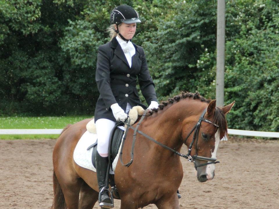 DSP Al Capone DM billede 11