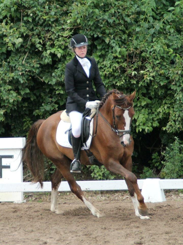 DSP Al Capone DM billede 12