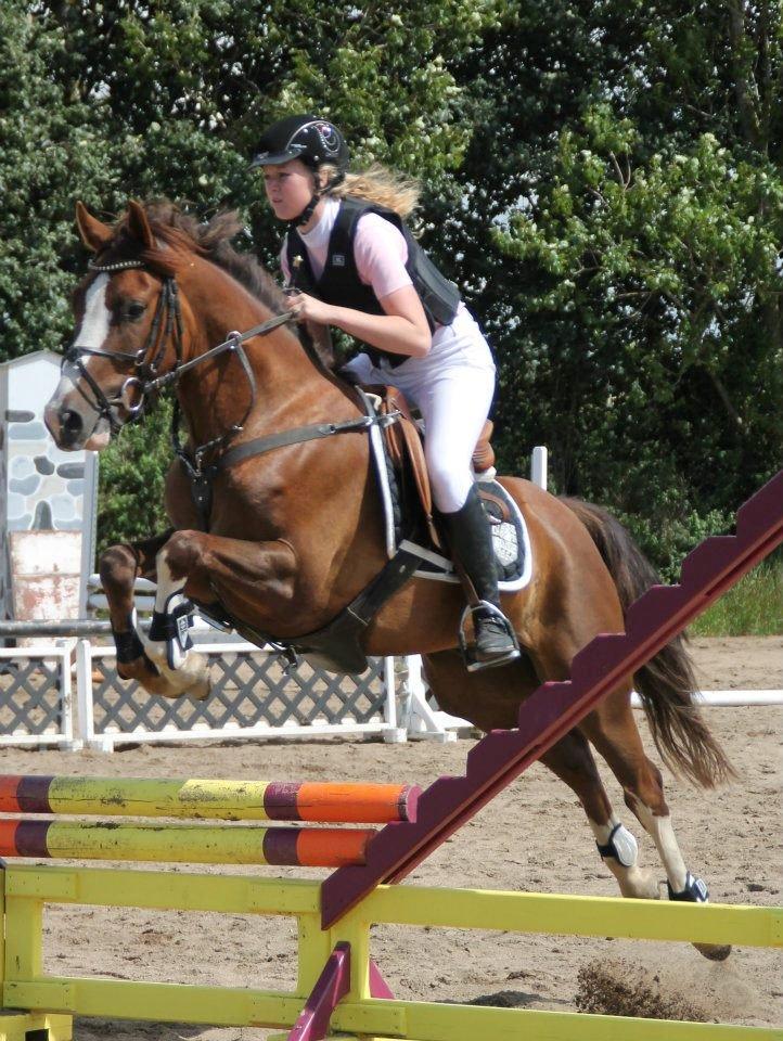 DSP Al Capone DM billede 13