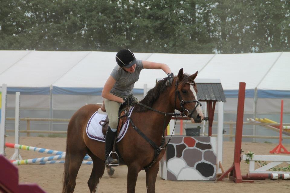 DSP Al Capone DM billede 14