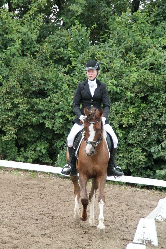 DSP Al Capone DM billede 15