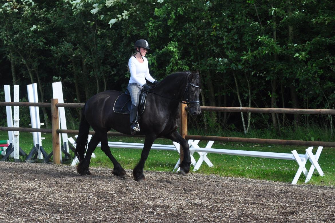 Frieser AKKE FAN DE SLACHTEDYK (Red og passede) - Smukke og dejlige Akke :)Dressurtræning d. 7. august 2012. billede 9
