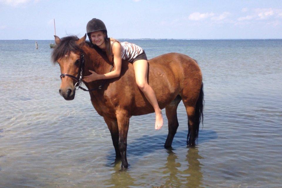 New Forest Tequila Sunrise - Rigtig hyggelig tur ved havet :-)<3 billede 5