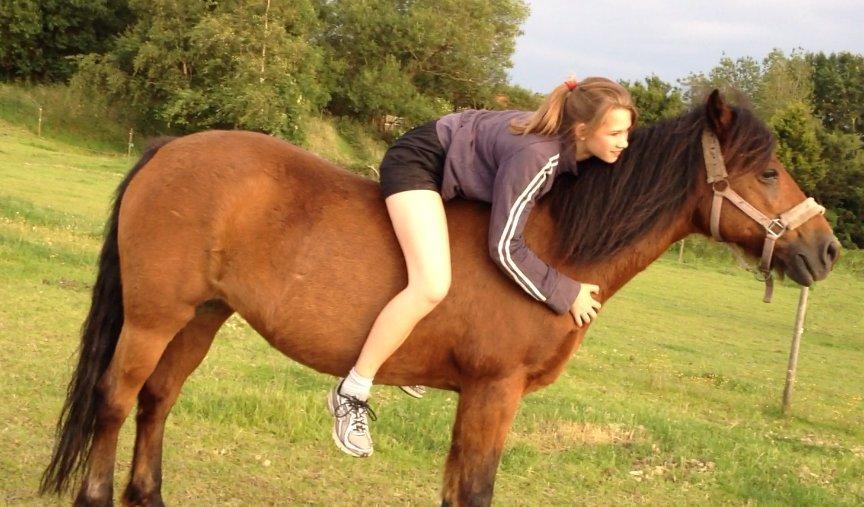 New Forest Tequila Sunrise - You are my dream <3 billede 14