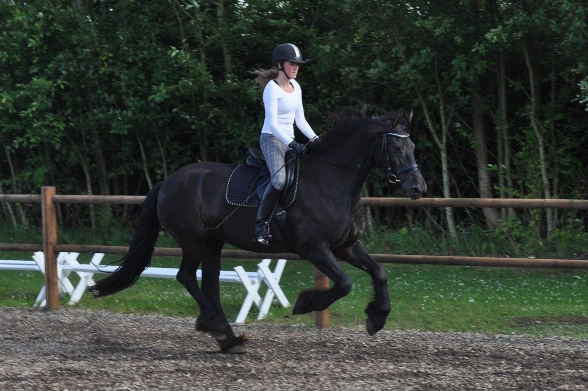 Frieser AKKE FAN DE SLACHTEDYK (Red og passede) - Tjaa, for at holde balancen må man jo sætte farten lidt op ;) 7. august 2012 billede 18