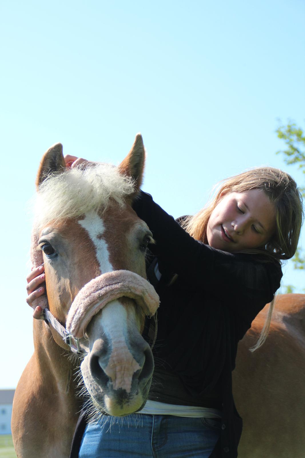 Haflinger Linette - Linette og jeg under LØR's pinsestævne 2012! ♥ Foto: CFJ - Det er ikke svært at finde en der kan få dig til at smile, det er ikke svært at finde en der kan få dig til at græde. Kunsten er at finde en, der kan få dig til at smile med tårer i øjnene :')
  billede 7