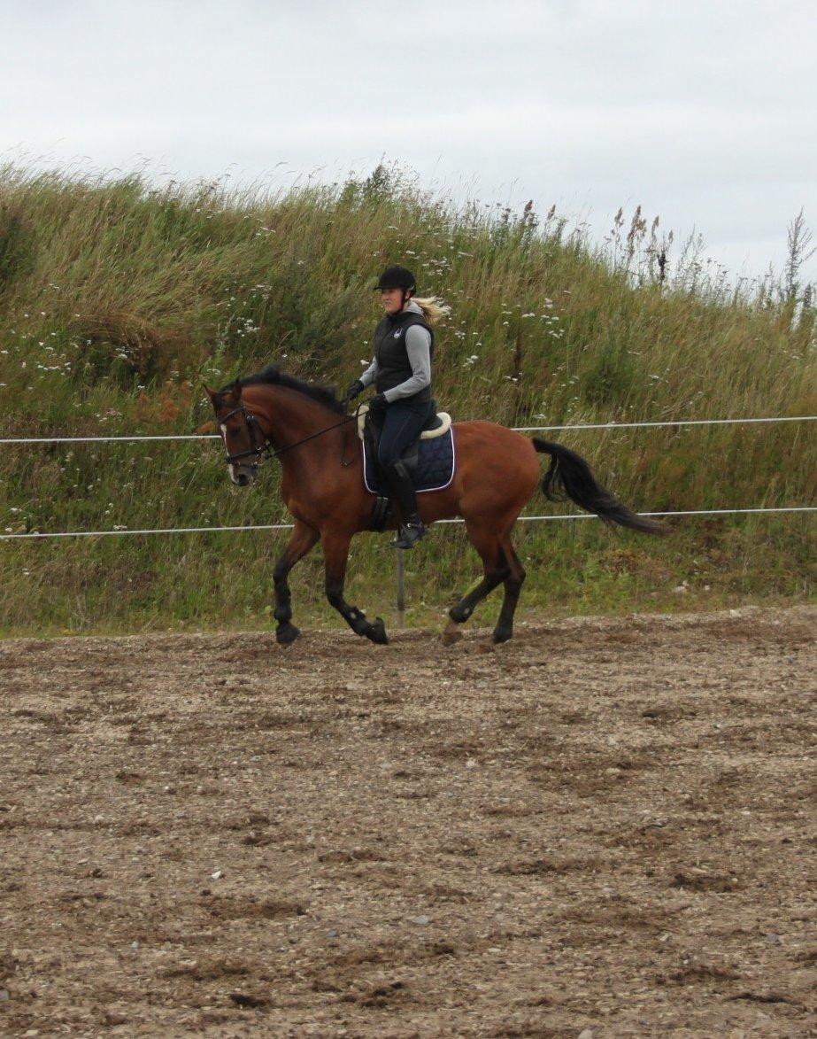 DSP Fontaine billede 11