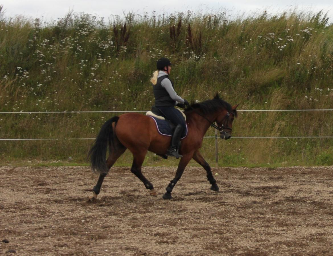 DSP Fontaine billede 13