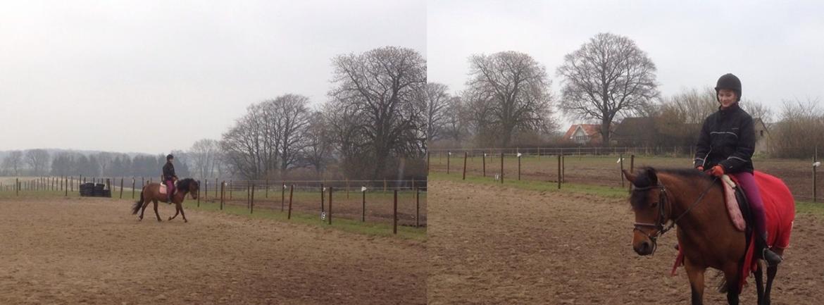 New Forest Tequila Sunrise - Da jeg var ude og prøve Tequila <3 billede 15