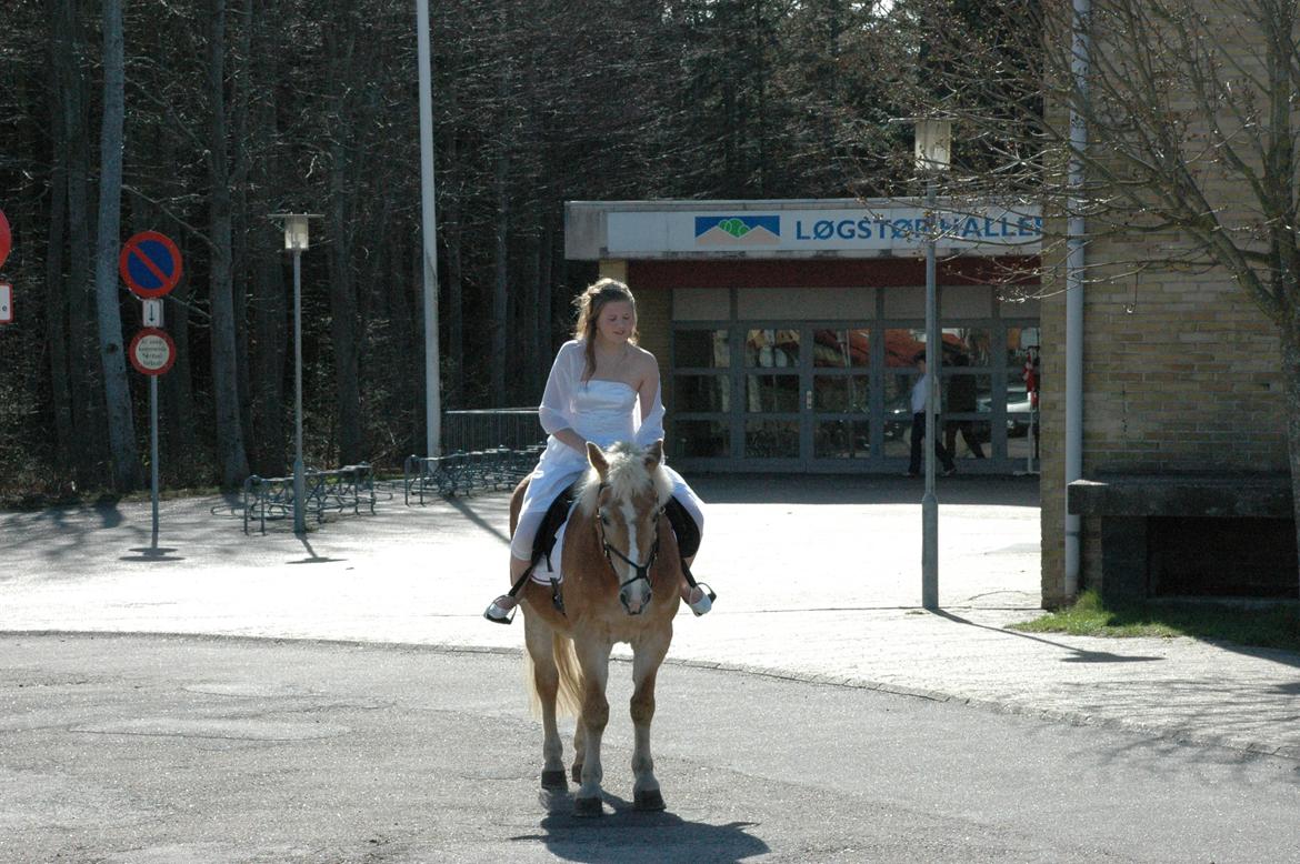 Haflinger Linette - Min konfimation d. 17/4 - 2011 <3<3 Verdens bedste dag! Tak til Mette og Rikke for at komme med hende! Foto: Bjarne-Ben, R.I.P <3 billede 12
