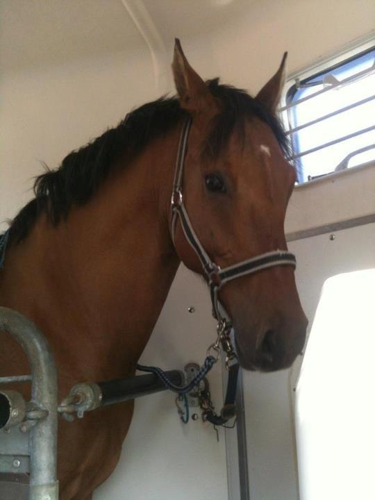 DSP Margo Lux - På vej til at tage afsted<3
-Nemlig hjem til mig:) billede 5